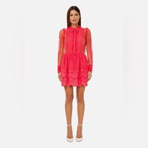 Elegant Long Sleeve Lace Dress in Vibrant Pink